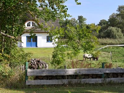 Ferienhaus für 6 Personen (152 m²) in Poseritz 10/10