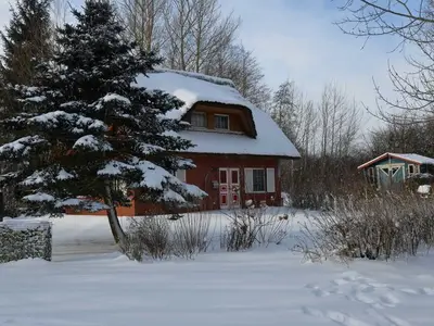 Ferienhaus für 5 Personen (100 m²) in Poseritz 3/10
