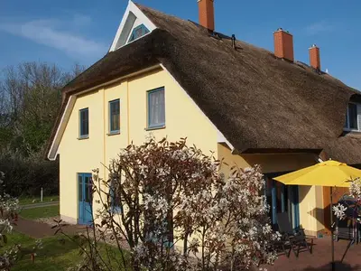 Ferienhaus für 7 Personen (83 m²) in Puddemin 3/10