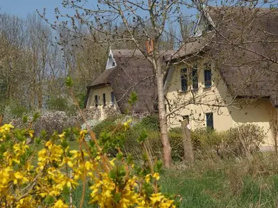Ferienhaus für 7 Personen (83 m²) in Puddemin 7/10