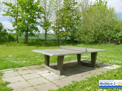 Ferienhaus für 9 Personen (104 m²) in Puddemin 7/10