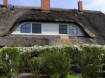 Ferienhaus für 7 Personen (80 m²) in Puddemin 3/10