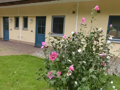 Ferienhaus für 7 Personen (80 m²) in Puddemin 4/10