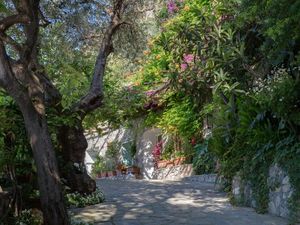 21749805-Ferienhaus-12-Positano-300x225-5