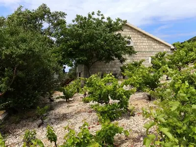 Ferienhaus für 3 Personen in Potomje 4/10