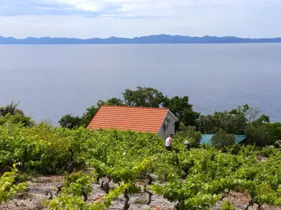 Ferienhaus für 3 Personen in Potomje 6/10