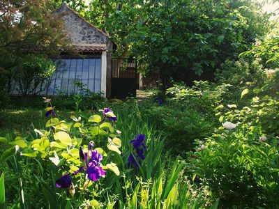 la serre dans le jardin fleuri