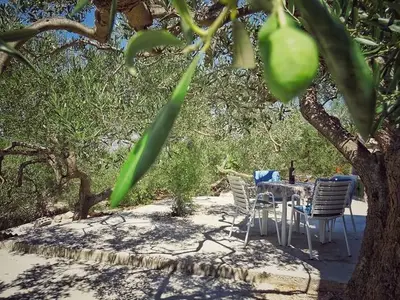 Ferienhaus für 3 Personen in Povlja 7/10