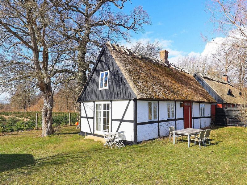 23549543-Ferienhaus-5-Præstø-800x600-0