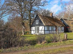 23549543-Ferienhaus-5-Præstø-300x225-2