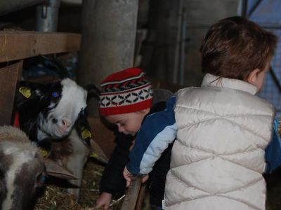 Photo_2 Photo_2