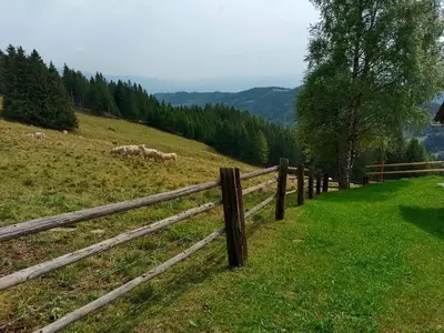 ExteriorSummer