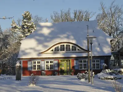 Ferienhaus für 6 Personen (103 m²) in Prerow 8/10