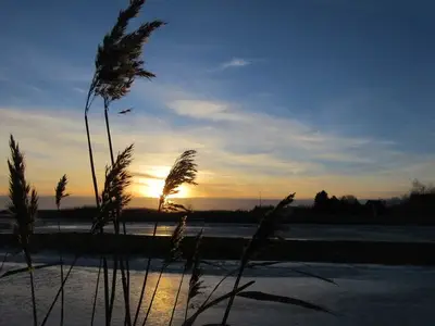 Ferienhaus für 7 Personen (124 m²) in Prerow 4/10