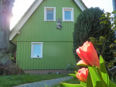 Ferienhaus für 4 Personen (75 m²) in Prerow 9/10