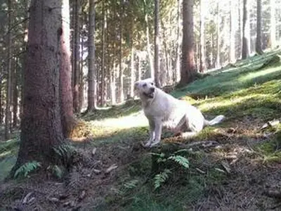 Willkommen in der Fewo Mietz