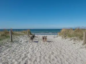 Ferienhaus für 6 Personen (75 m²) in Pruchten