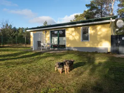 Ferienhaus für 4 Personen (50 m²) in Pruchten 5/10