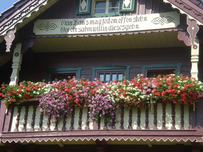 Blumenpracht im Ferienhaus Tschernitz