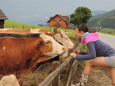 Urlaub am Bauernhof