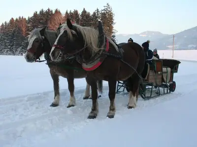 Ferienhaus für 4 Personen (120 m²) in Pruggern 10/10