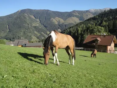 Ferienhaus für 10 Personen (140 m²) in Pruggern 9/10