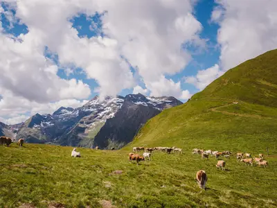 Bergwelt
