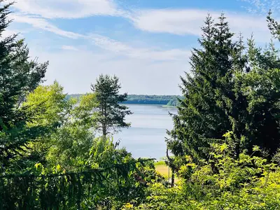 view-from-room
