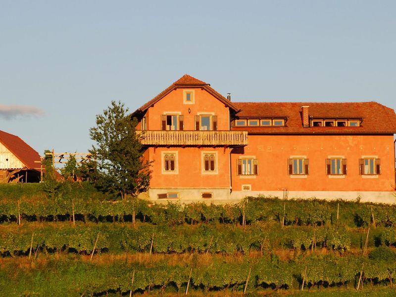 22807971-Ferienhaus-12-Ptuj-800x600-1