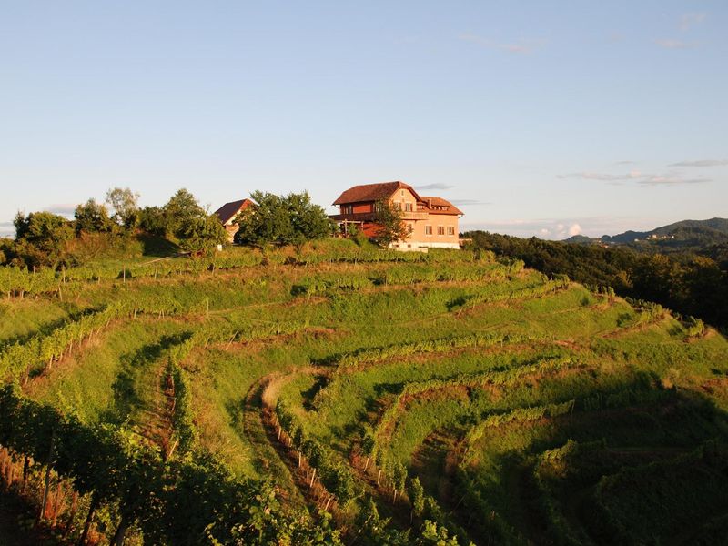 22807971-Ferienhaus-12-Ptuj-800x600-2