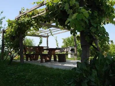 Bild 10