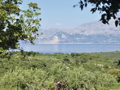 view-from-room