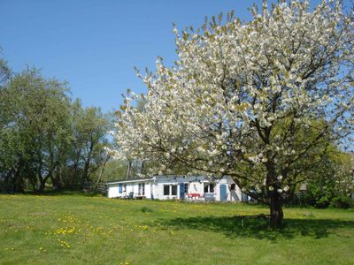 Ferienhaus für 6 Personen (100 m²) in Puddemin 5/10