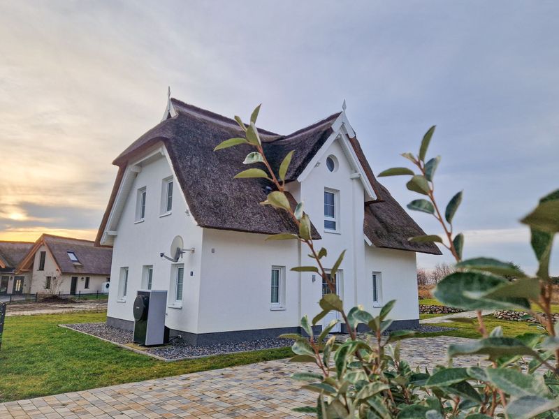 23912361-Ferienhaus-6-Puddemin-800x600-0