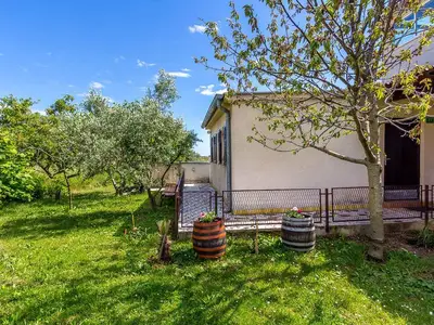 Ferienhaus für 4 Personen (36 m²) in Štinjan 1/9