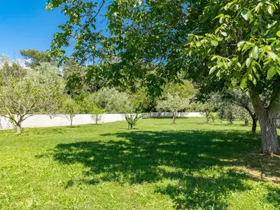 GardenSummer