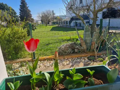 Ferienhaus für 4 Personen (42 m²) in Pula (Istarska) 9/10