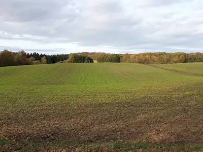 Ferienhaus für 5 Personen (120 m²) in Kasnevitz 6/10