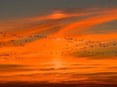 Ferienhaus für 4 Personen (60 m²) in Putgarten 1/10