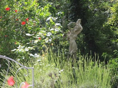 jardin en été