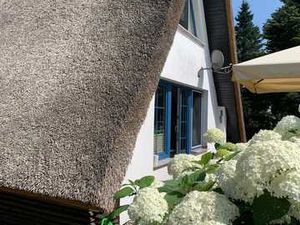 Ferienhaus für 4 Personen (40 m²) in Quilitz