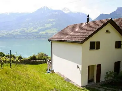 Garten mit Reben und Feigen