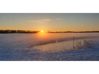 Ferienhaus für 3 Personen (38 m²) in Quitzdorf am See 7/9