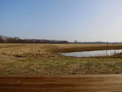 Ferienhaus für 3 Personen (38 m²) in Quitzdorf am See 8/9