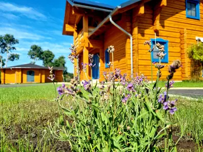 Ferienhaus für 3 Personen (38 m²) in Quitzdorf am See 9/10