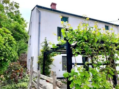 Ferienhaus für 5 Personen (72 m²) in Arbe 8/10