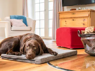 Ferienhaus für 4 Personen (85 m²) 8/10