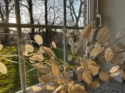 Ferienhaus für 4 Personen (125 m²) in Rabenkirchen-Faulück 10/10