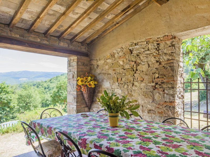 23836759-Ferienhaus-10-Radda In Chianti-800x600-2