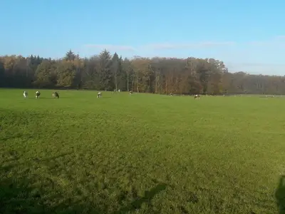 Ferienhaus für 7 Personen (90 m²) in Rade 4/10